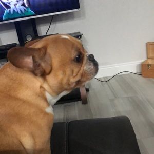 Meet your Posher, Ricky